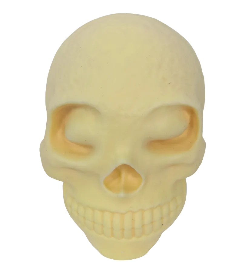 Skull squishy toy